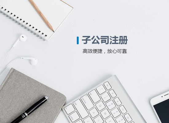 <b>子公司注冊(cè)</b>